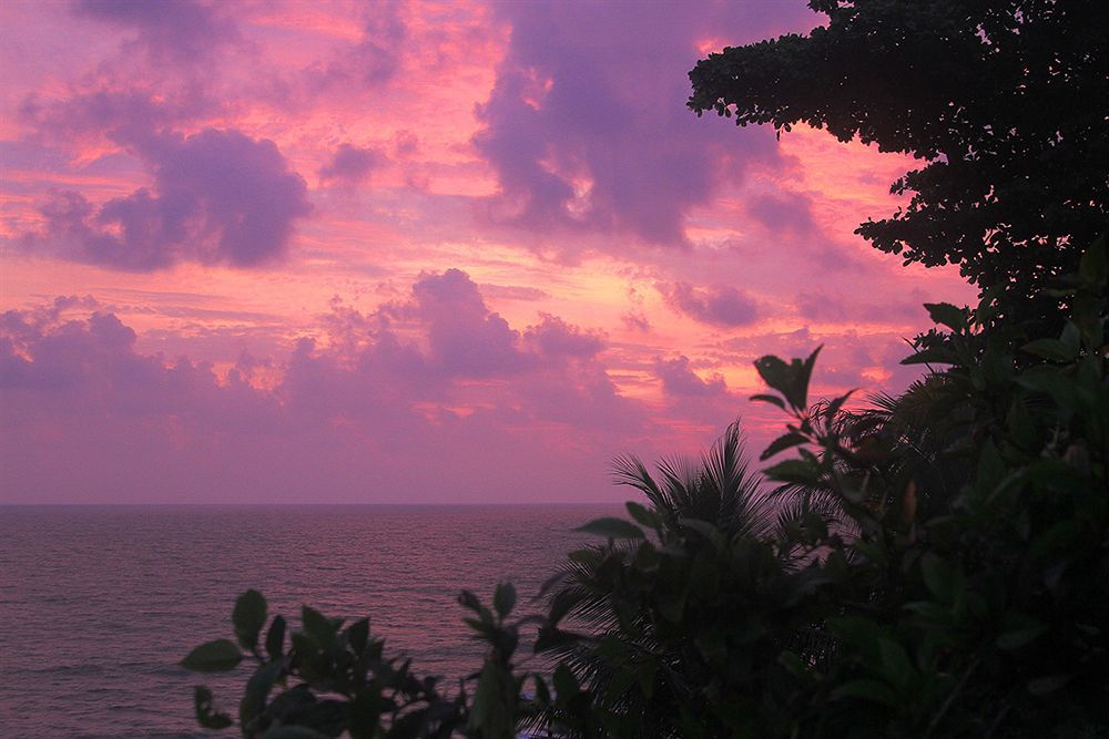 Magnolia Guesthouse Varkala Eksteriør bilde