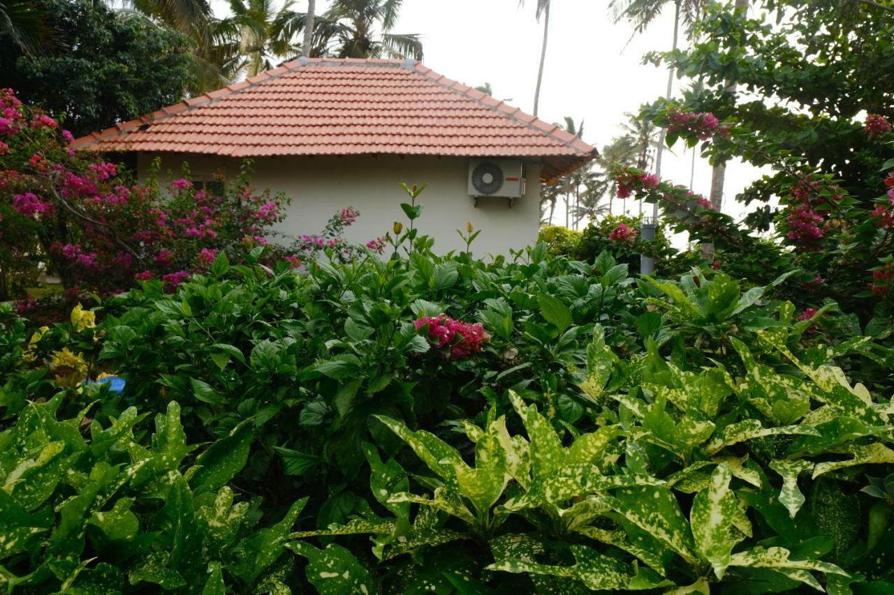 Magnolia Guesthouse Varkala Eksteriør bilde